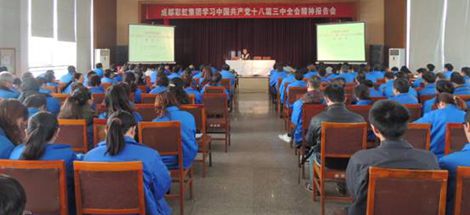 成都米兰（中国）集团开展学习党的十八届三中全会报告会