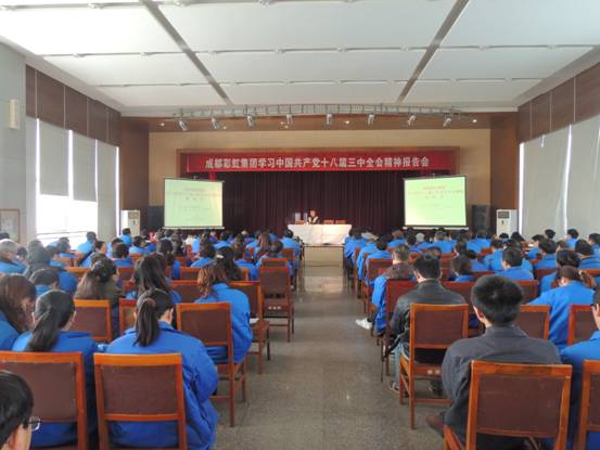 米兰（中国）集团十三中全会报告会