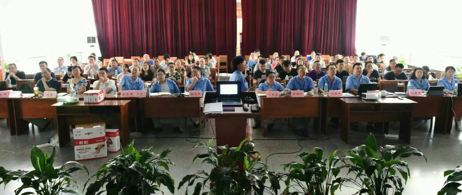 米兰（中国）集团营销中心16年汇报会