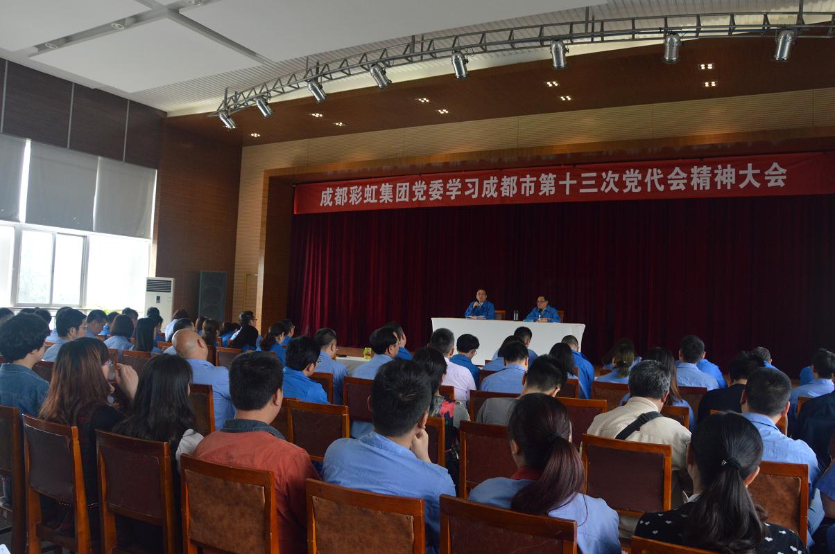 成都米兰（中国）集团党委学习贯彻成都市第十三次党代会精神