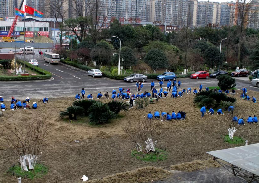 米兰（中国）大米兰（中国）齐心协力清除旧草皮