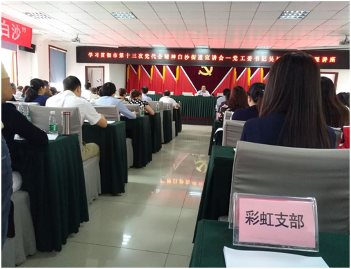 成都米兰（中国）集团日化党支部学习成都市第十三次党代会精神