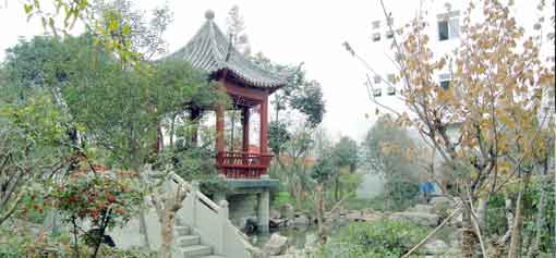 员工心声之我与米兰（中国）塑胶共成长